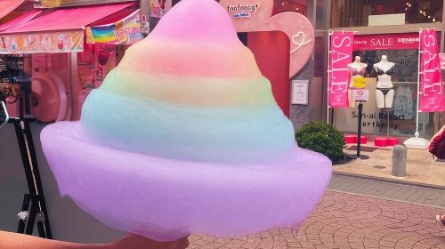 Harajuku Highlights: Where Tradition Meets Tokyo Pop Day Tours