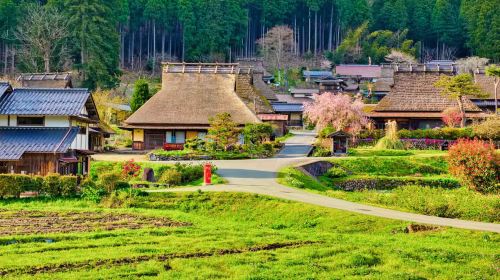 Kyoto in One Day: Amanohashidate, Ine Funaya & Miyama Thatched Village Day Tours