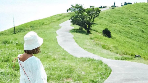 1-Day Small Group Tour to Mt. Omuro, Izu with Scenic Train Ride & Hotel Pick-up