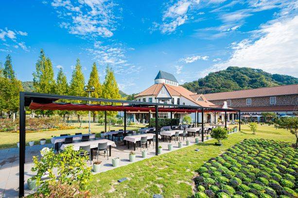 Ehime Prefectural Towel Art Museum Admission Ticket