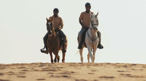 Abu Dhabi Horse Riding Experience
