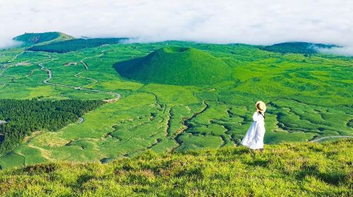 1-day tour to Kumamoto, Aso volcano and Kusasenri with Aso volcano shuttle service