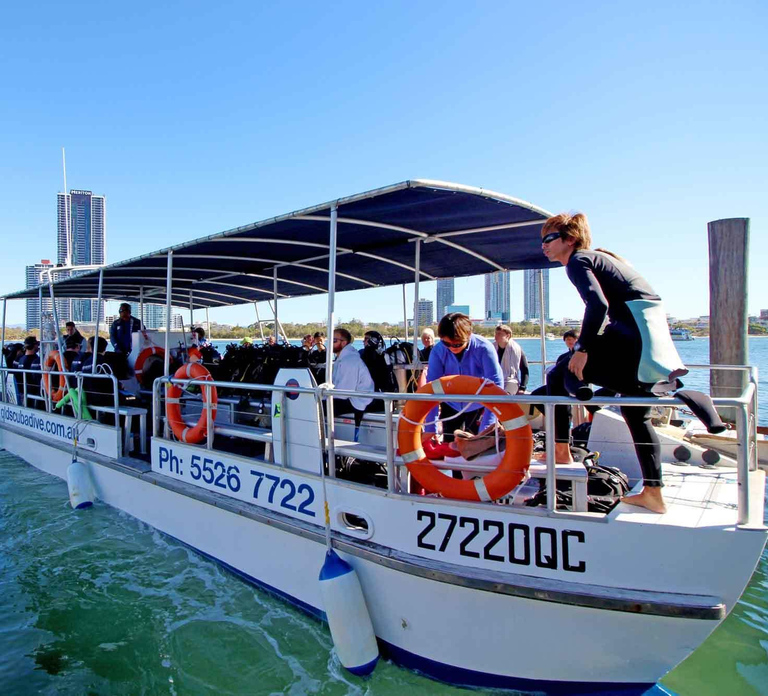 Gold Coast: Snorkelling in Wave Break Island