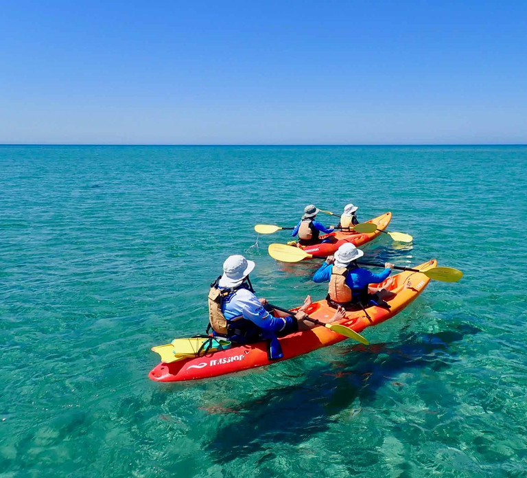 Exmouth: Half Day Turtle Kayak & Snorkel Tour