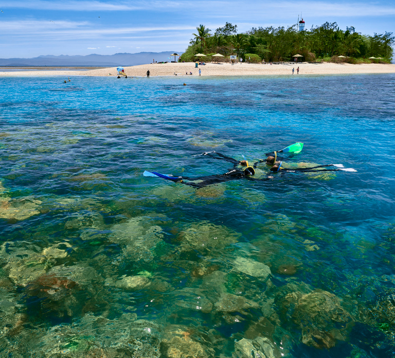 From Port Douglas: Low Isles Great Barrier Reef Sailing Tour