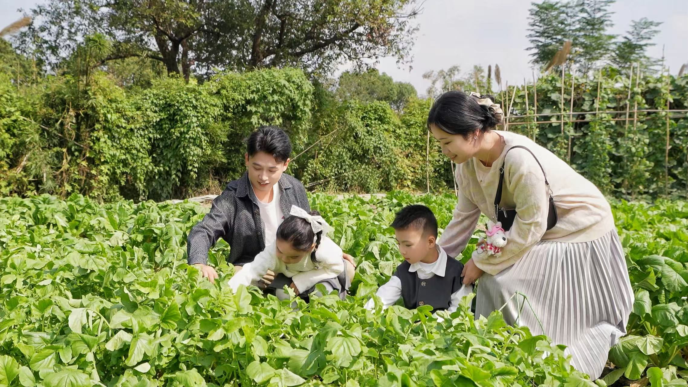 Hangzhou Xixi Wetland Park Admission Ticket  Peaceful Oasis Near West Lake