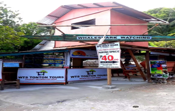 Oslob Whale Shark Watching