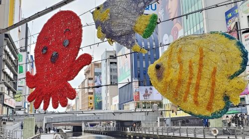 Explore Dontonbori - Haf-Day Food Tour Day Tours