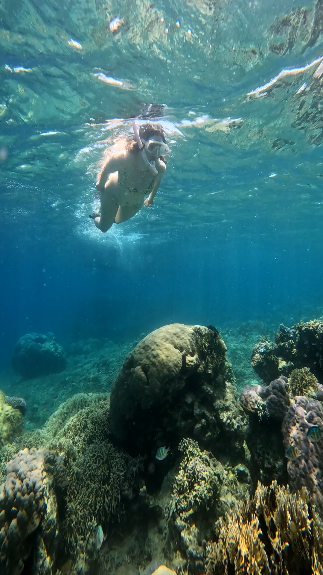 Secrate Island Private Snorkling Tour in lombok with go pro