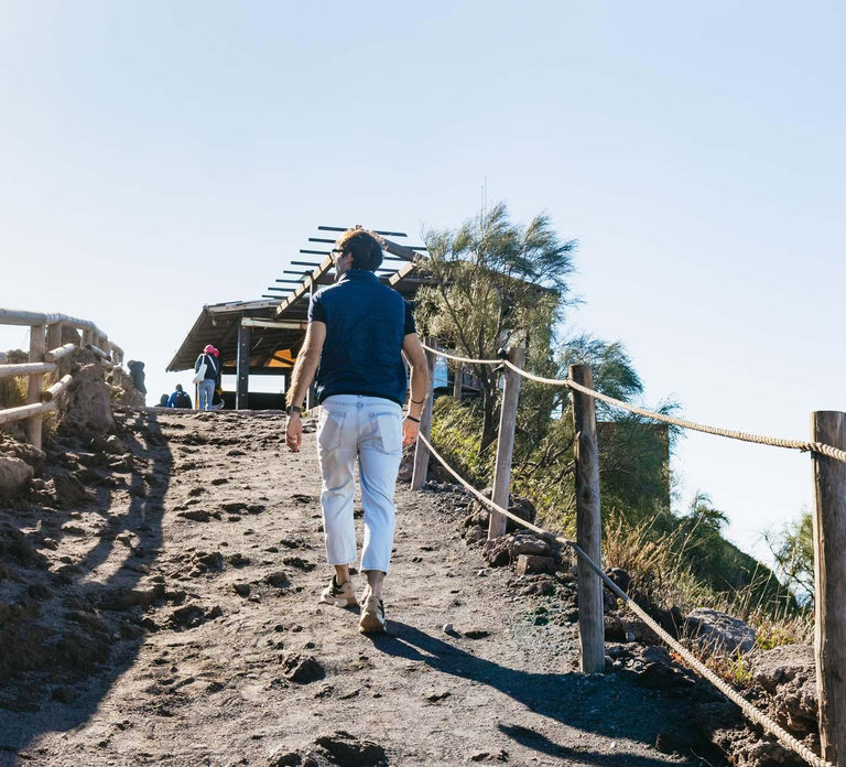 From Naples: Mount Vesuvius with Entry Ticket