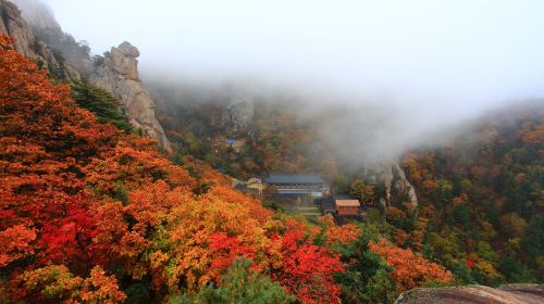 Mt. Seoraksan National Park + Nami Island One Day Tour – Depart From Seoul • Natural Breathtaking View