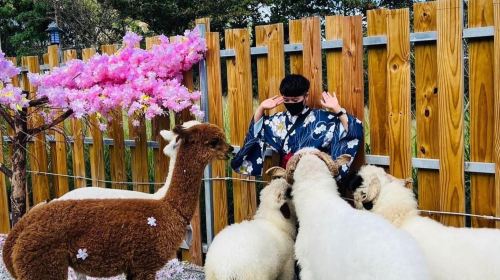 Yueyawan Farm