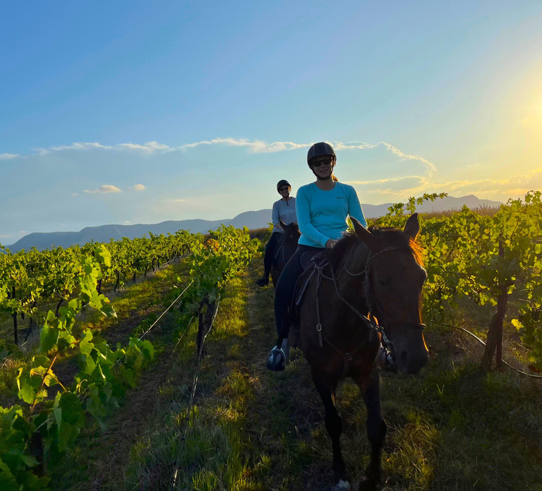 Hunter Valley: Sunset Horse Riding Tour