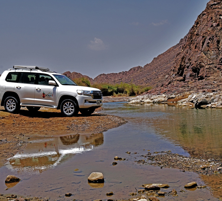 Dubai: Private Desert Day Tour and Wadi Shawka Pool Visit