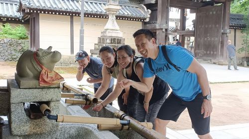 Full-Day Sightseeing to Kyoto Highlights Day Tours