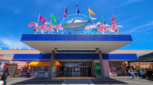 1-day tour to Kishi Station Cat Master + Seafood Market + Senjojiki Rock Plateau + Sandanbeki Cliffs in Wakayama, Japan