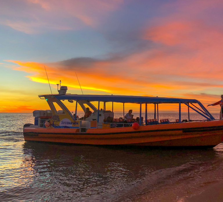 Darwin: Sunset Harbour Cruise with Fish and Chips Dinner