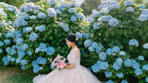Trip Moments in Toyama, Japan