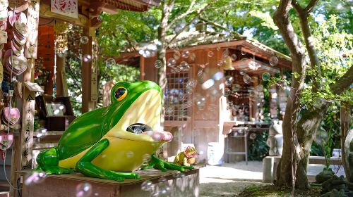 Japan Fukuoka Nyoirin-ji Temple on Qingying Mountain, Mount Yufu Trailhead, Yufuin, and Beppu Hells One-Day Tour