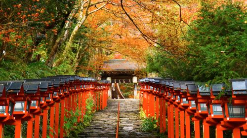 Kyoto Kifune Shrine + Sanzen-in Temple Day Trip [Small Group of 9 + Optional Guided Tour]