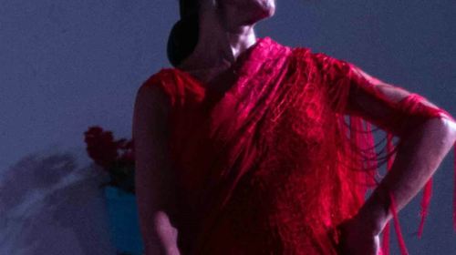 Cordoba: Flamenco Show with Welcome Drink Child