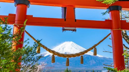 Mount Fuji: Guided Day Tour from Tokyo Day Tours
