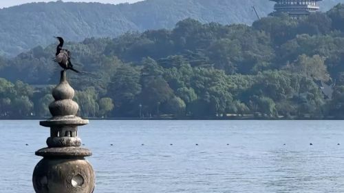 Hangzhou Private Charter Day Tour: West Lake, Songcheng & Lingyin Temple