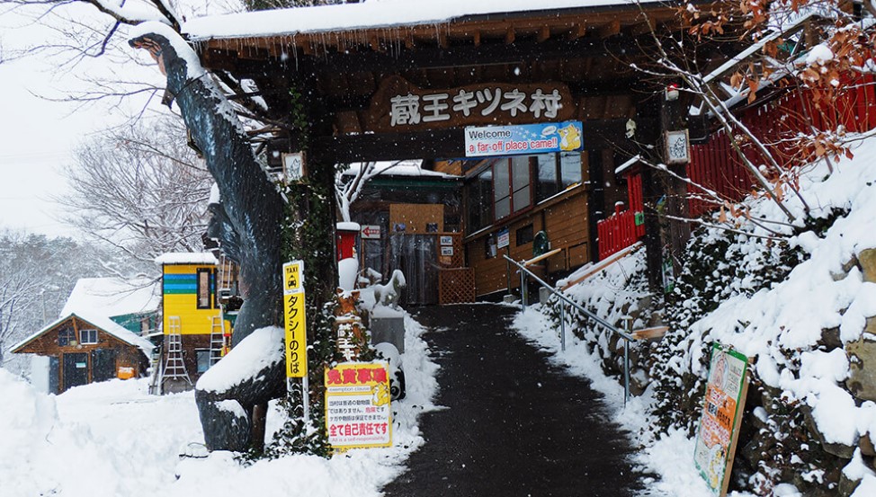 Miyagi Zao Fox Village & Ginzan Onsen Day Tour