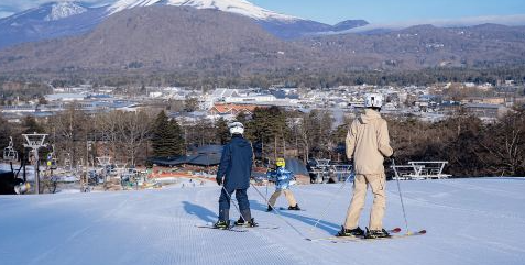 Japan 24 Ski Resorts Lift Pass/1-day Ticket (Distributor Exclusive) 1 account can only place 1 order!