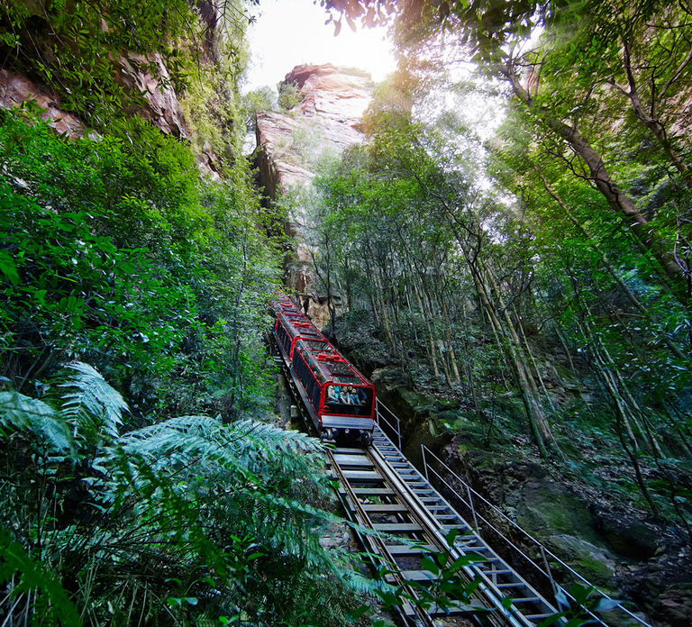 Katoomba: Scenic World 1-Day Unlimited Discovery Pass