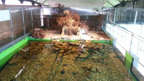Acuario do Grove