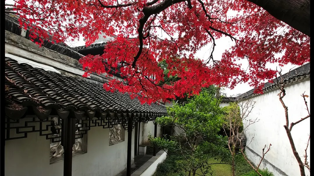 A one-day tour of Suzhou city highlights – Humble Administrator's Garden