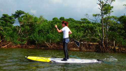 Okinawa Ishigaki Island Snorkeling Tour