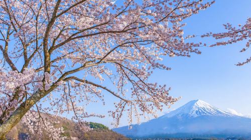Iconic Fuji Adventure: Kawaguchiko, Stairway Town & Instagram Hotspots