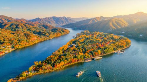 Nami Island + Gangchon Railbike One Day Tour (Depart from Seoul) Day Tours