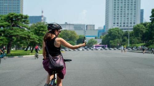 Tokyo : E-Bike Guided Tour Highlights and Hidden Gems Day Tours