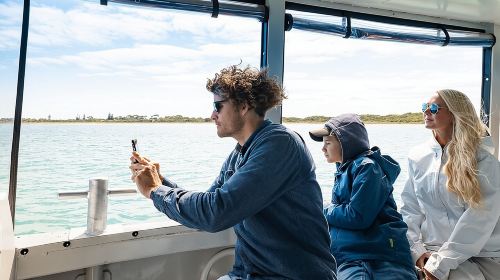 Dolphin, Sea Lion and Penguin Island Cruise