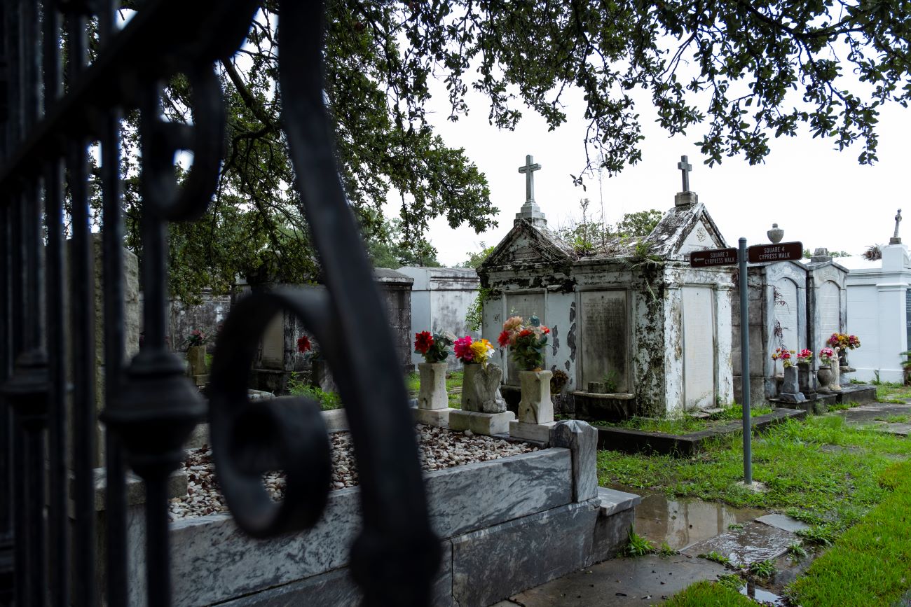 Explore Historic New Orleans: Hidden Garden District Tour