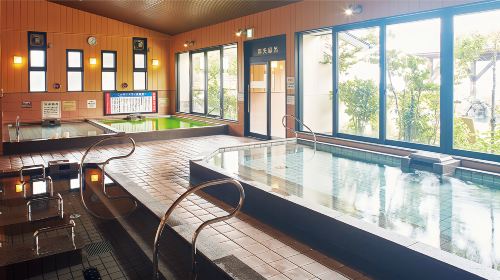 1-day tour to Wakayama & Shirahama hot spring – Visit the cat station master