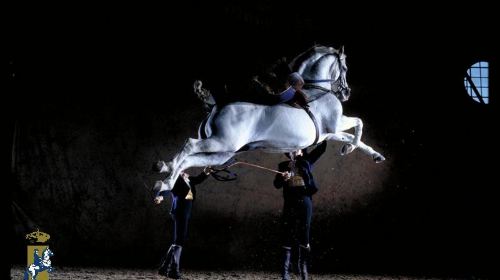 Royal Andalusian School of Equestrian Art