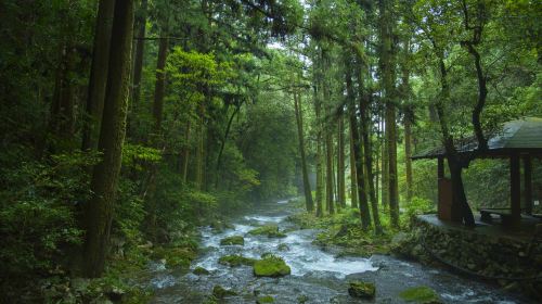 1-day tour to Motonosumi Shrine + Tsunoshima Bridge in Kitakyushu, featuring one of Japan's Three Great Caves