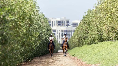 Abu Dhabi Horse Riding Experience
