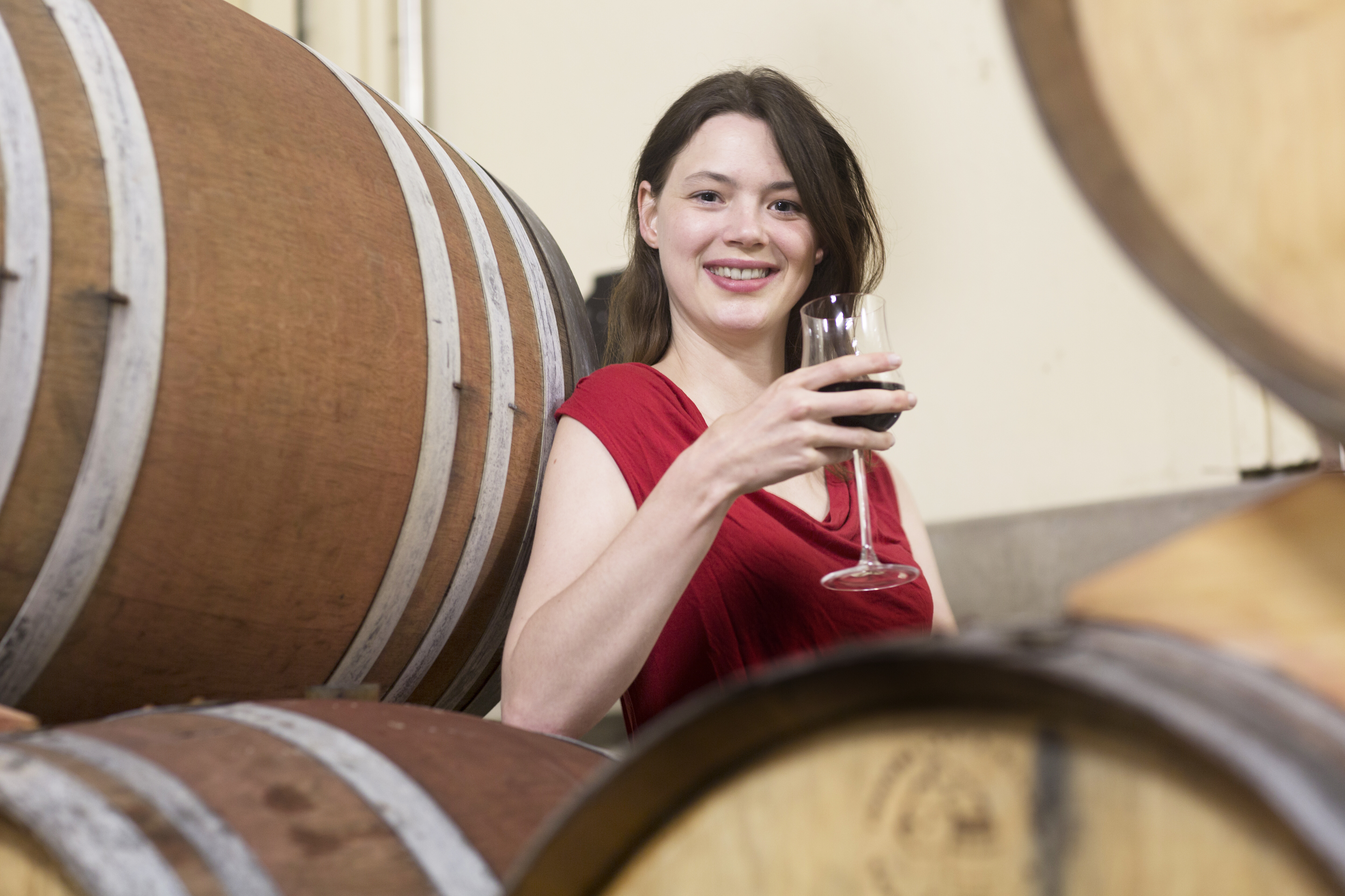 Discover Ribera del Duero: Full-Day Wine & Gastronomy Experience from Madrid