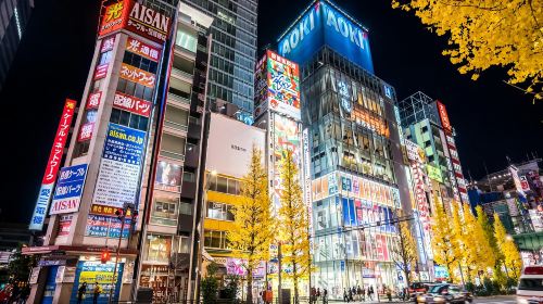 From Yokohama Port: Private 10-Hour Tokyo Charter Tour