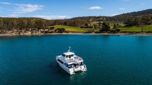 Hobart, Tasmania seafood cruise (freshly harvested sea urchin, tasting lobster, abalone, Atlantic salmon, and wine) Transport Passes