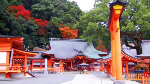 1-day tour from Osaka to world heritage Kumano-Kodo Nakahechi pilgrimage route