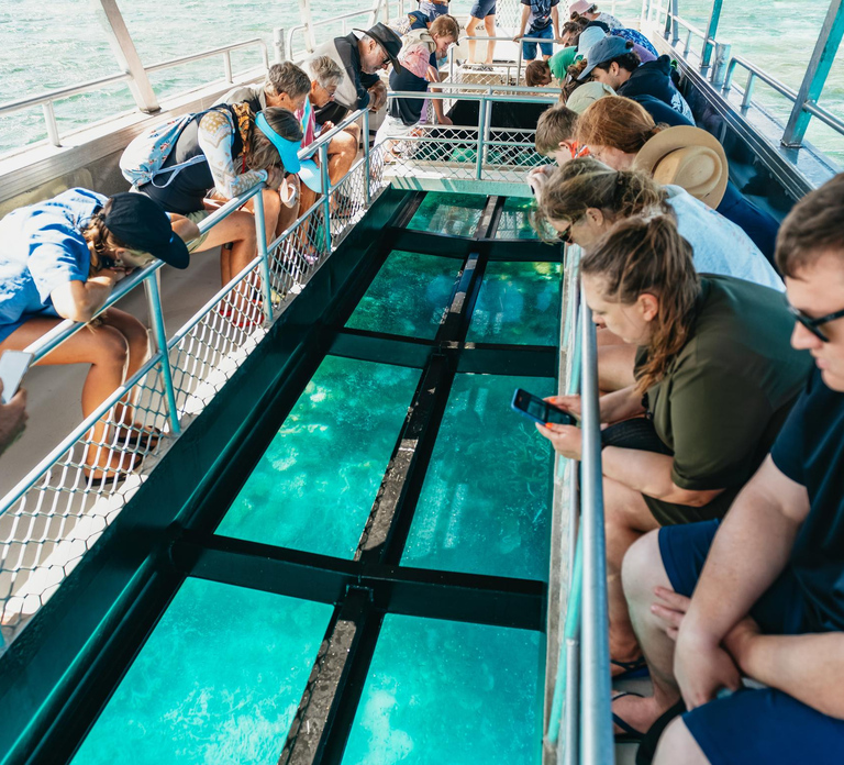 Bundaberg: Lady Musgrave Island and Great Barrier Reef Tour