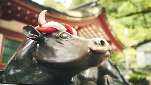 Kamado Jigoku Day Tours