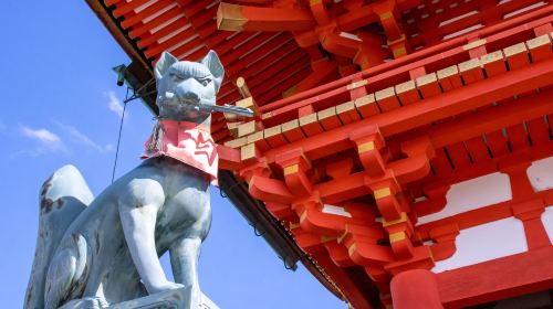 Kyoto & Nara 7 Major Spots Highlights Day Tour