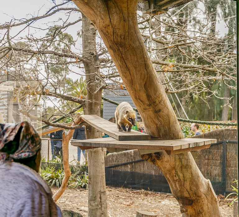 Melbourne Zoo: 1-Day Entry Ticket